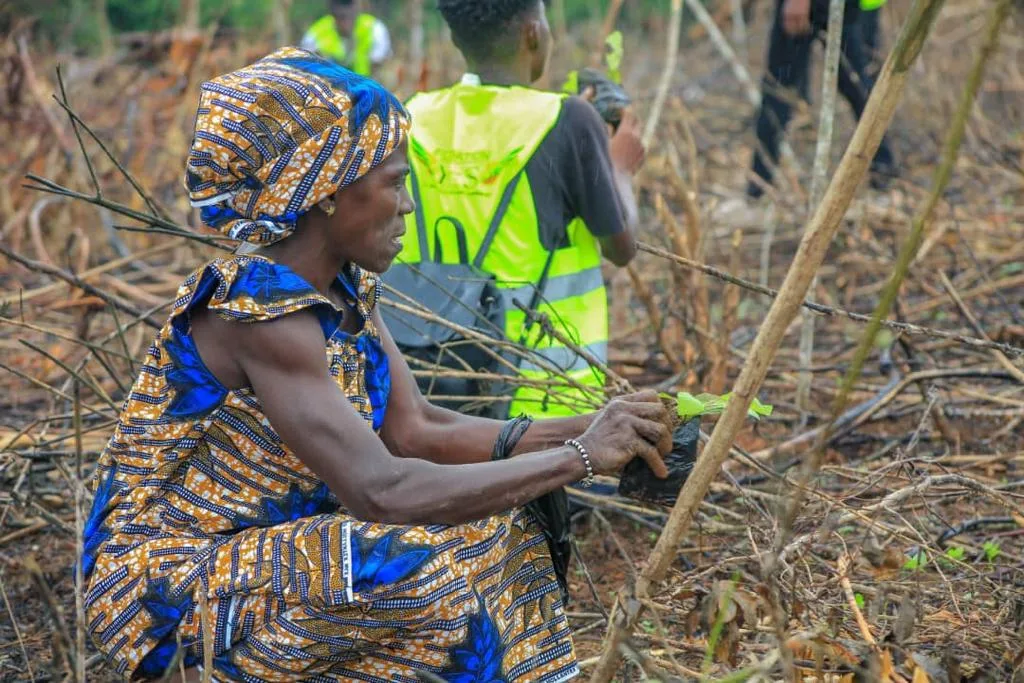 Caravane du Reboisement : La Fondation YES et la SODEFOR ont atteint leur objectif Caravane Nationale du Reboisement