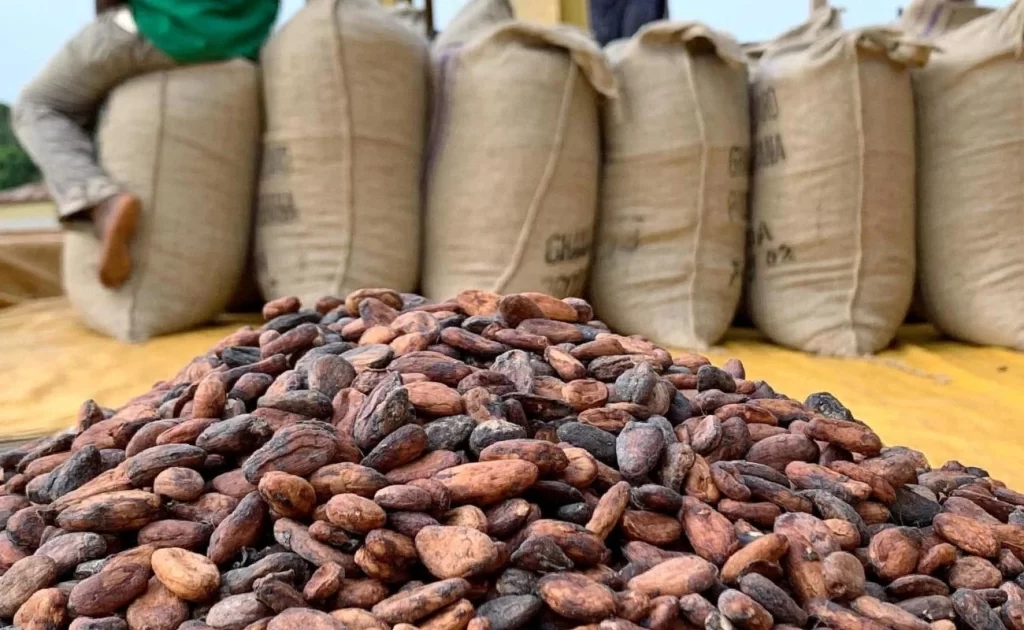 Côte d’Ivoire : le prix du cacao sous pression après la hausse record au Ghana cacao