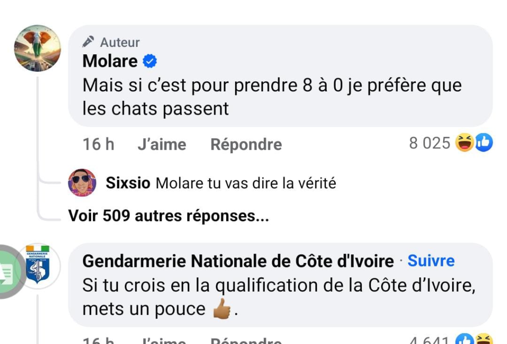 Défaite de la Côte d’Ivoire : la gendarmerie nationale réagit Défaite de la Côte d’Ivoire : la gendarmerie nationale réagit | Affairage.ci