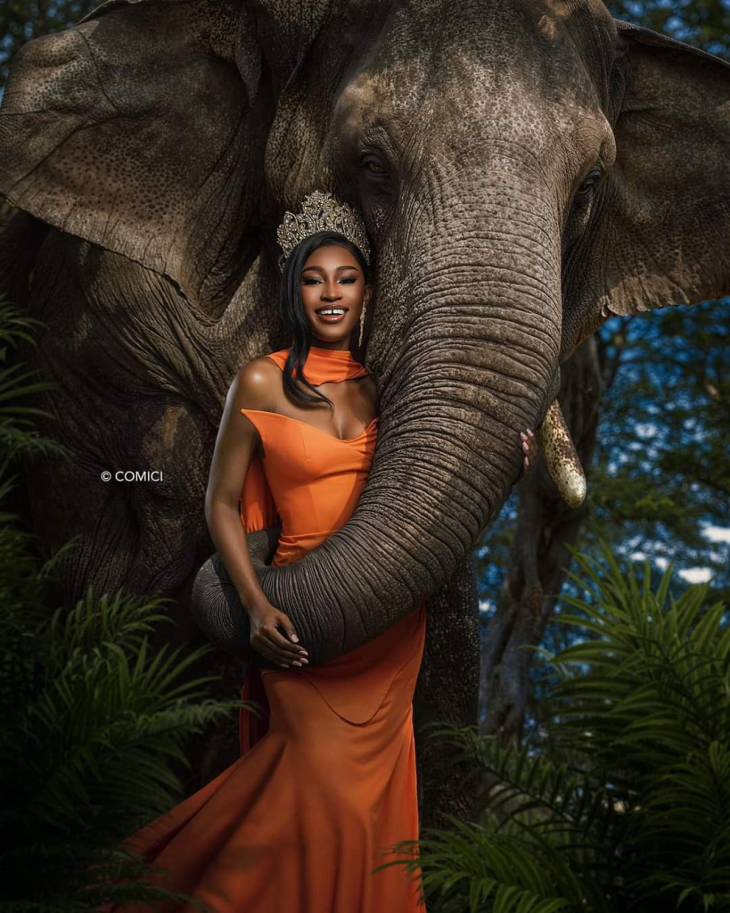 Indépendance de la Côte d’Ivoire : cette photo de la Miss Dimala Emmanuelle avec un éléphant secoue la toile Indépendance de la Côte d’Ivoire : cette photo de la Miss Dimala Emmanuelle avec un éléphant secoue la toile | Affairage.ci