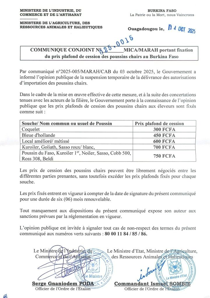 Burkina Faso : le gouvernement fixe les prix plafonds des poussins de chair Burkina
